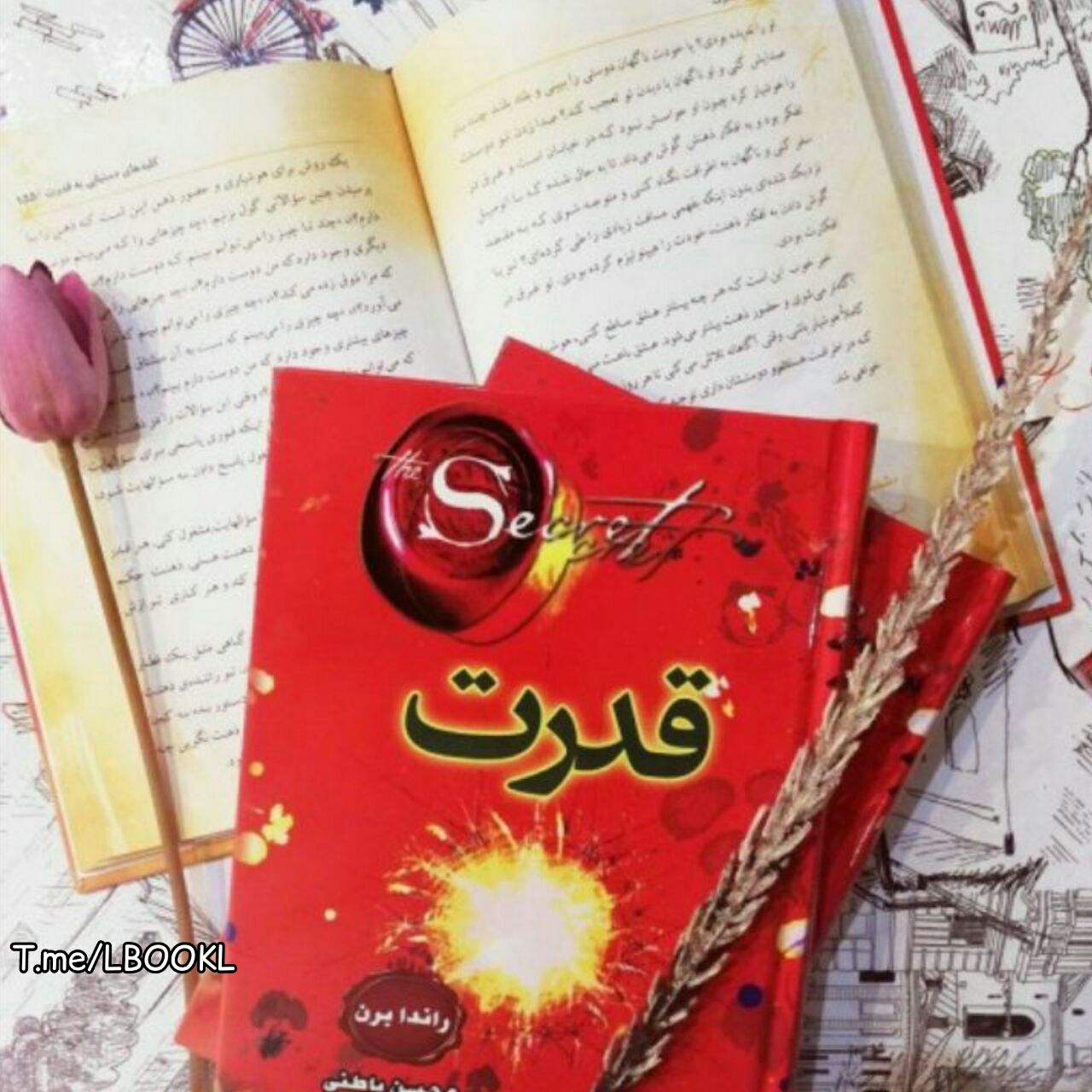 قدرت