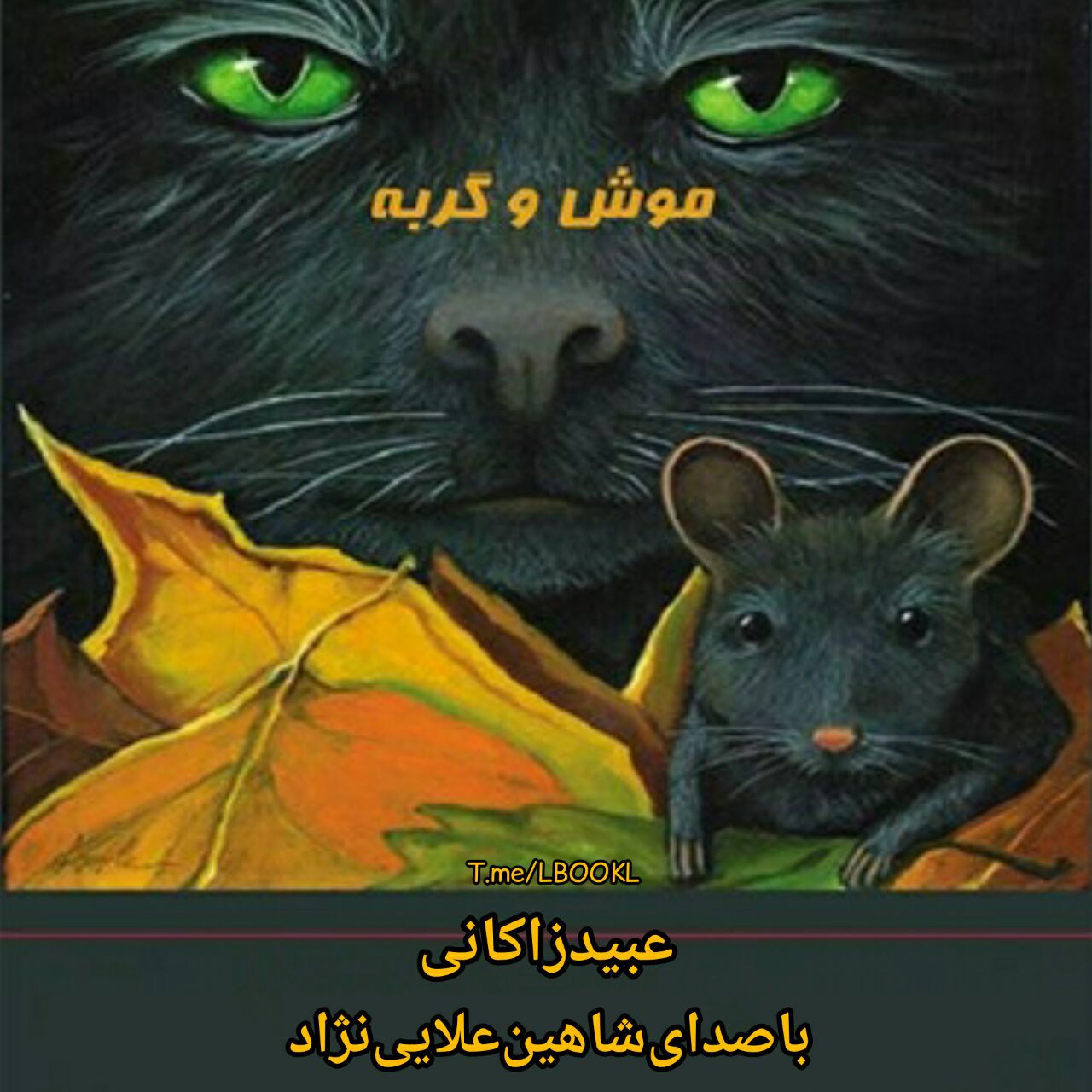 موش و گربه