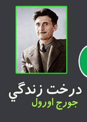 درخت زندگی